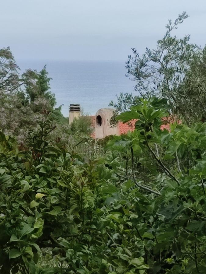 Villetta Cala D'Ambra San Teodoro  Kültér fotó