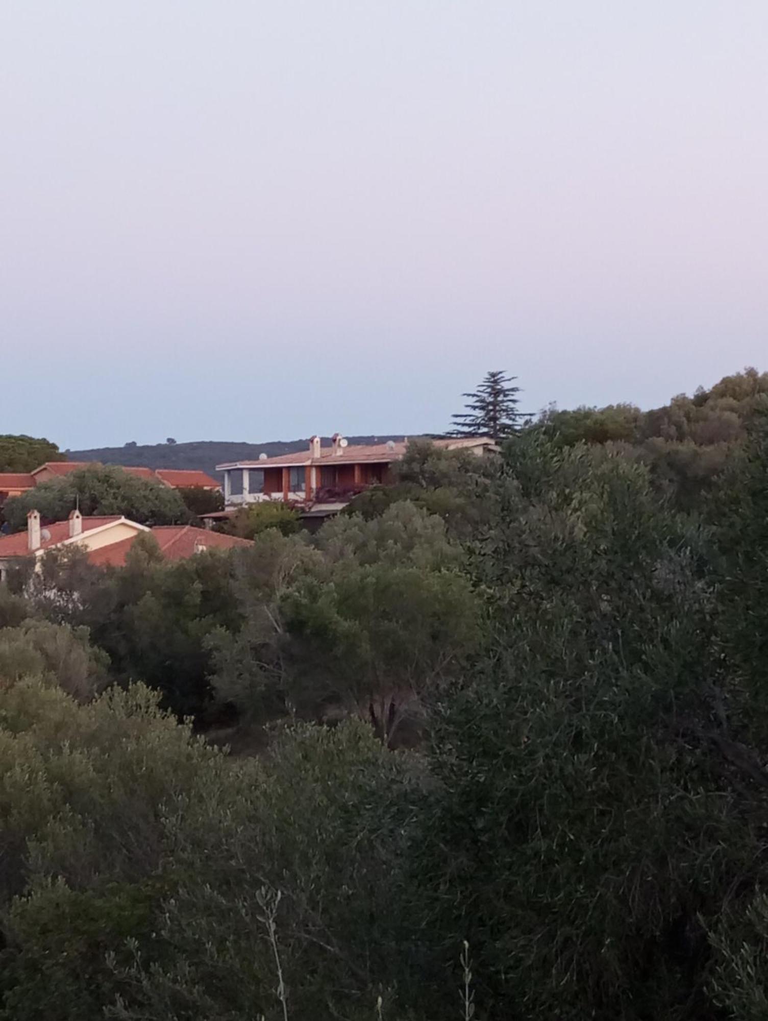 Villetta Cala D'Ambra San Teodoro  Kültér fotó