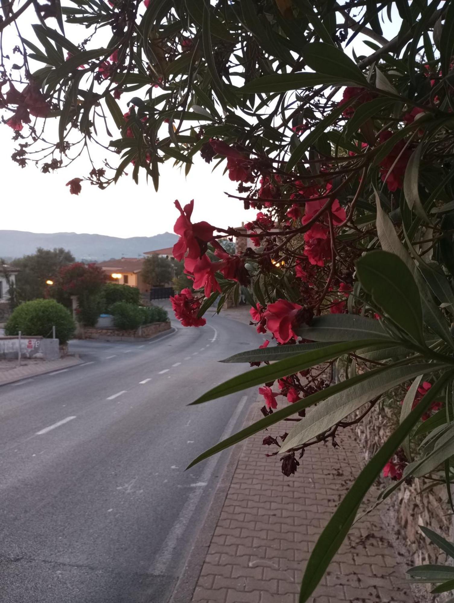 Villetta Cala D'Ambra San Teodoro  Kültér fotó