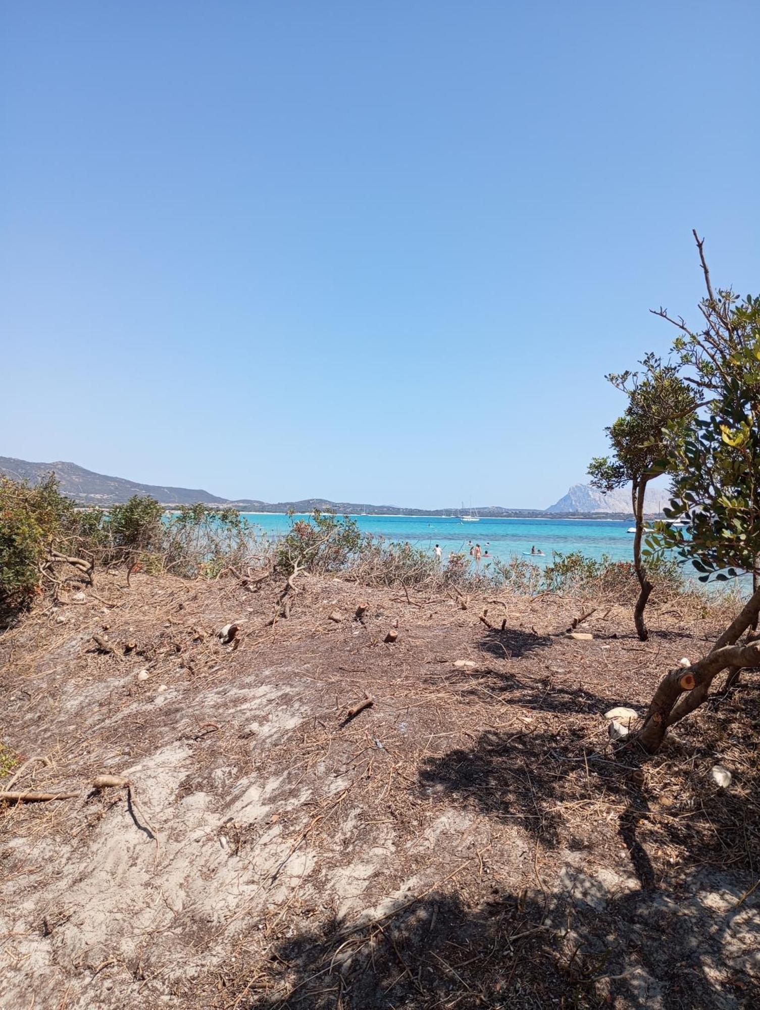 Villetta Cala D'Ambra San Teodoro  Kültér fotó